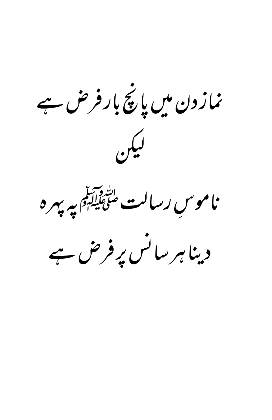 Book Namoos e Risalat (Idarajaalhaq) - Image 14