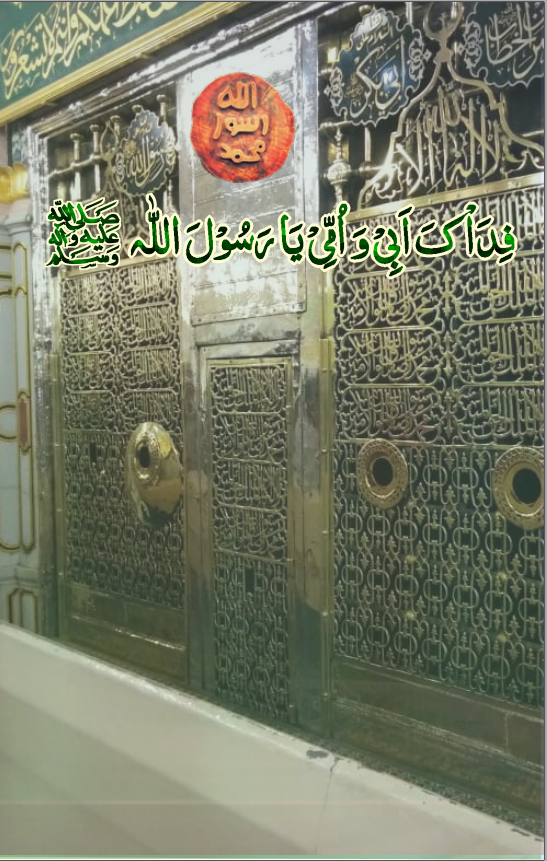 namoos book pages introduction