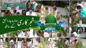 planting tree شجر کاری