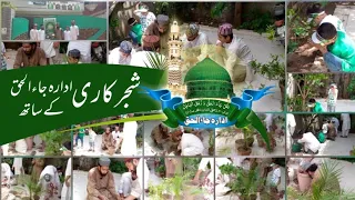 planting tree شجر کاری